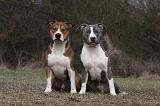 AMSTAFF ADULT 398